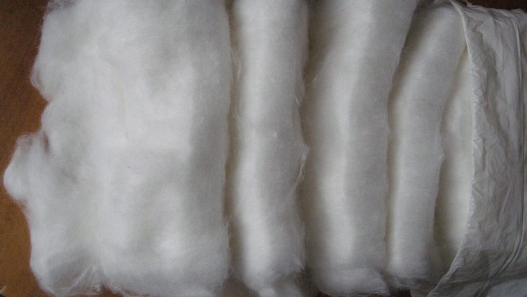 Cotone idrofilo