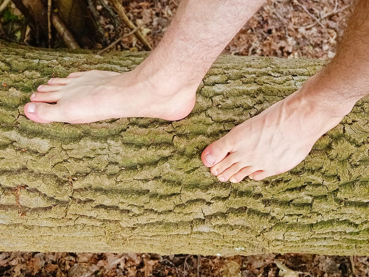 Camminata