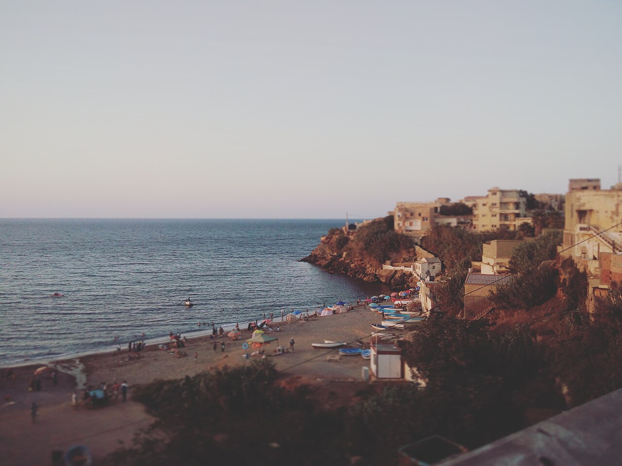 Estate