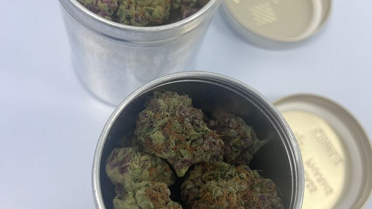 Cannabis per uso terapeutico