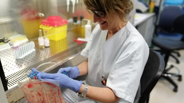 Ricerca scientifica