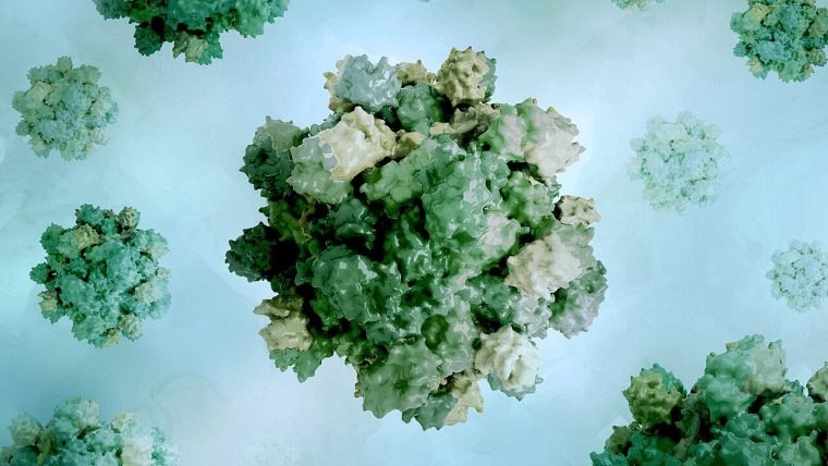 Virus dell'epatite
