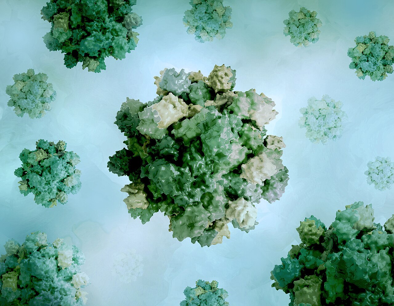 Virus dell'epatite