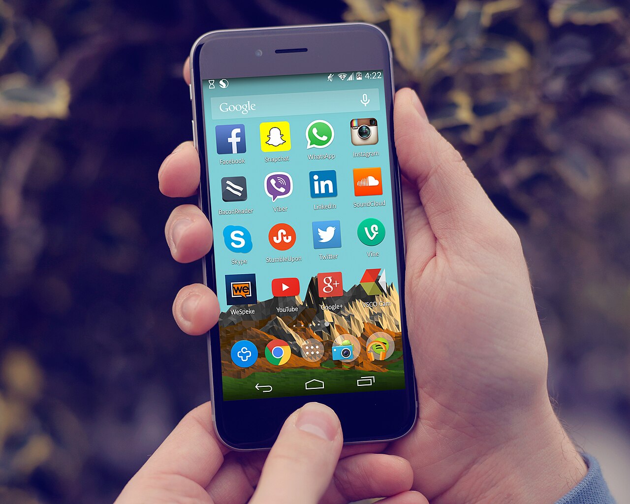 Social network sullo schermo