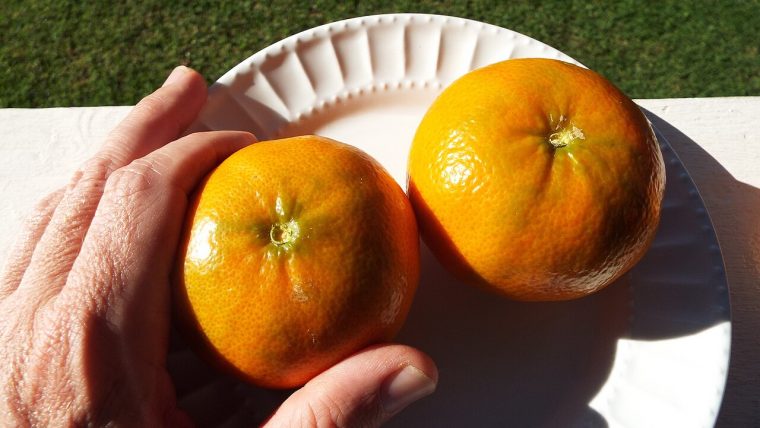 Alimenti per le difese immunitarie