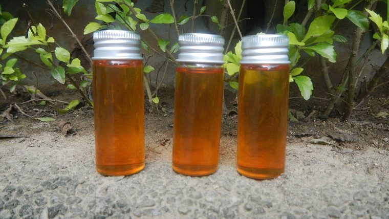 Olio di cocco