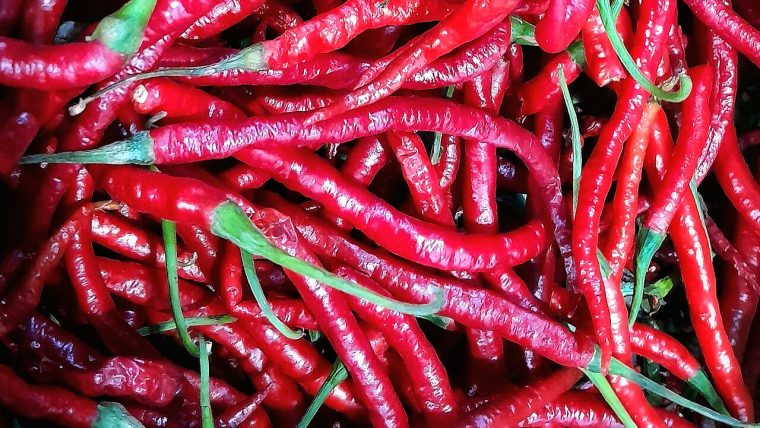 Peperoncino rosso