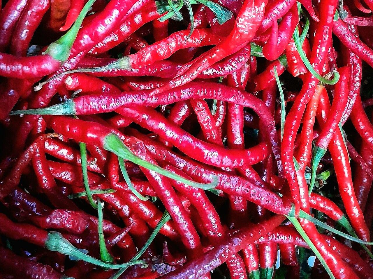 Peperoncino rosso
