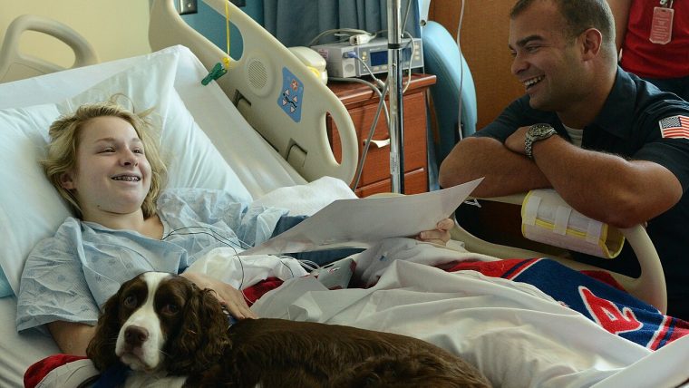 Cane da pet therapy
