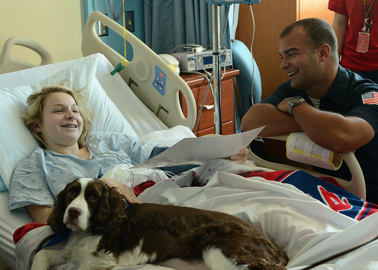 Cane da pet therapy