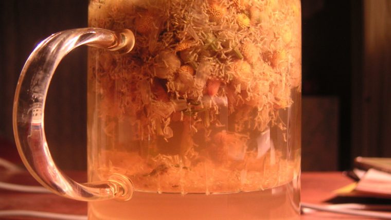 Tisana alla camomilla