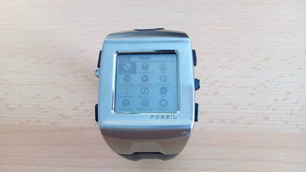 Smartwatch al polso