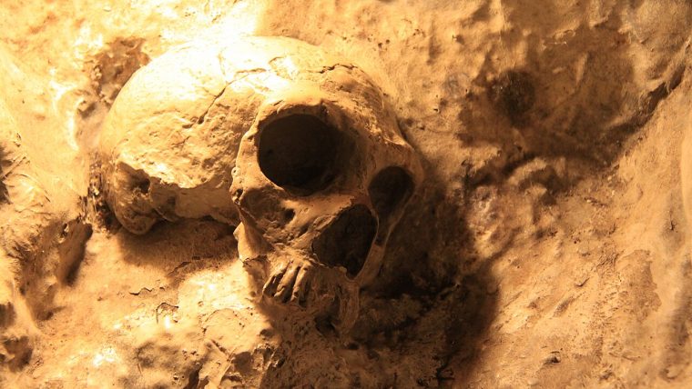 Cranio di Neanderthal