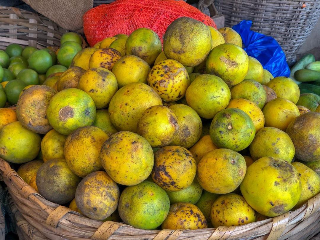 Agrumi ricchi di vitamina C